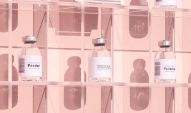 The installation: The Future is Present