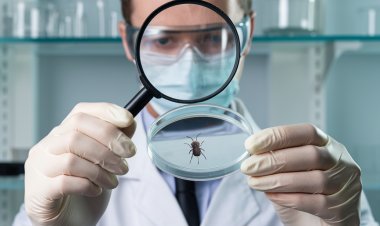Ticks, Secrets, and Science