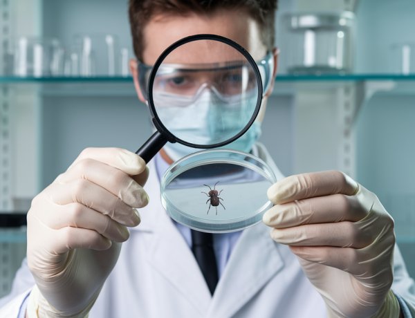 Ticks, Secrets, and Science