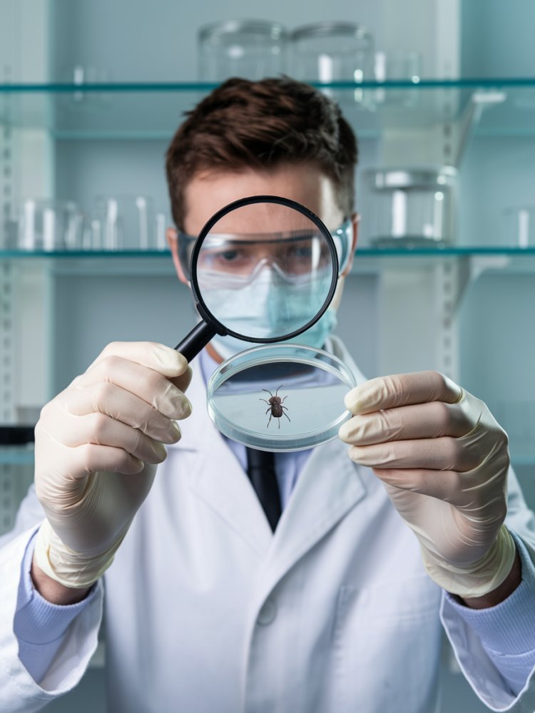 Ticks, Secrets, and Science