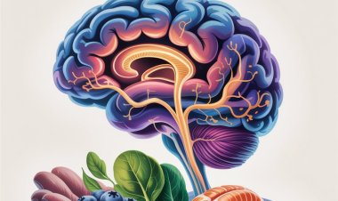 What Your Brain Is Made Of — And Why It Matters What You Put in Your Body